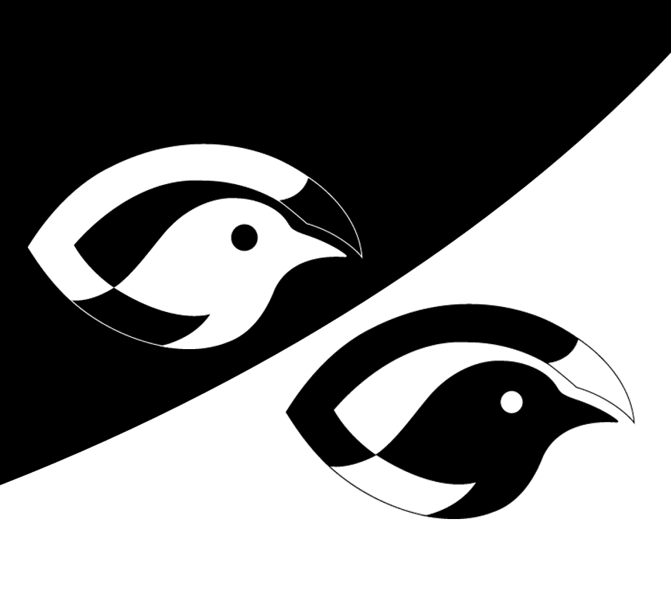 Bird’s Eye View project preview