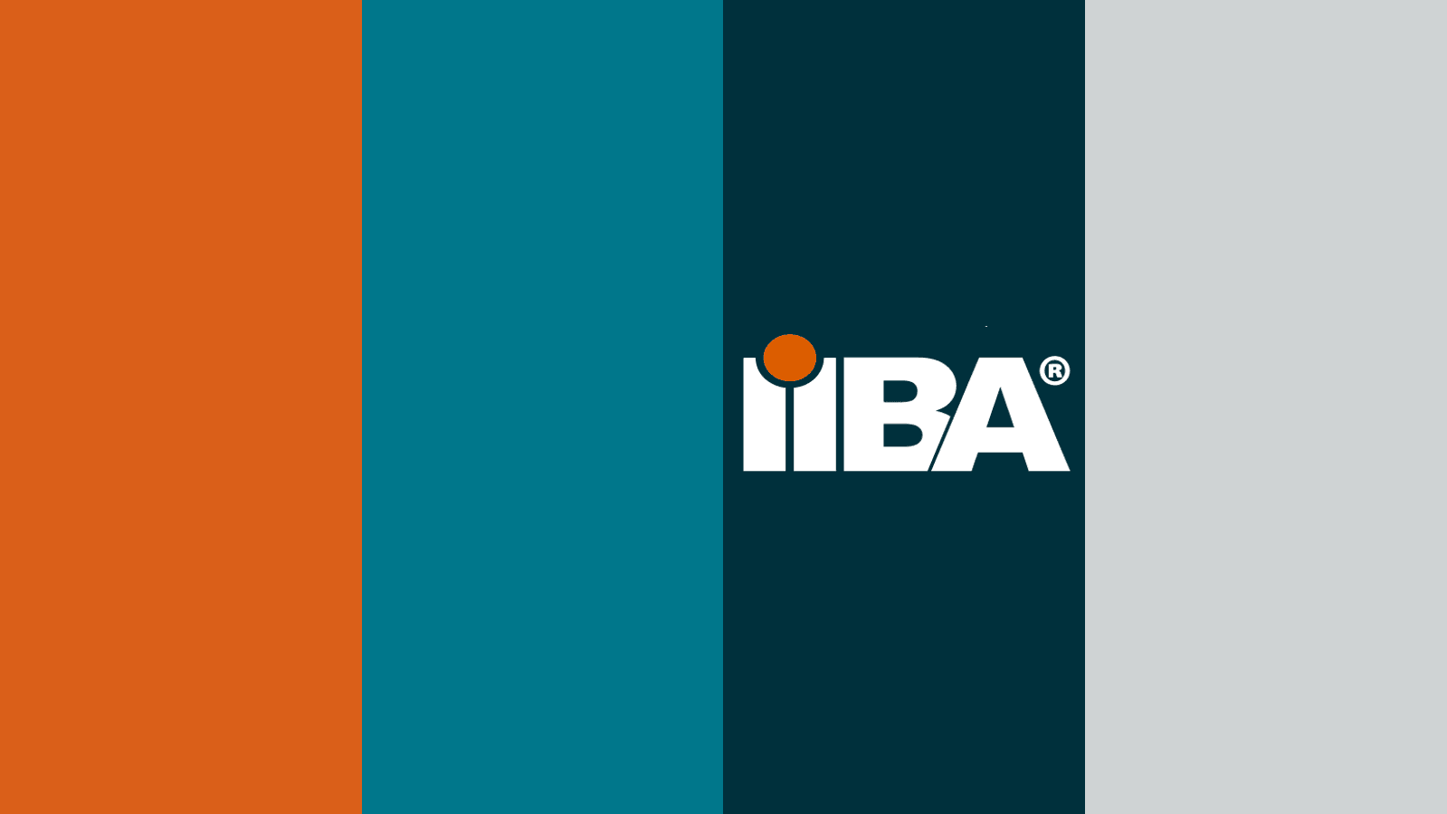 IIBA Malta Chapter project preview